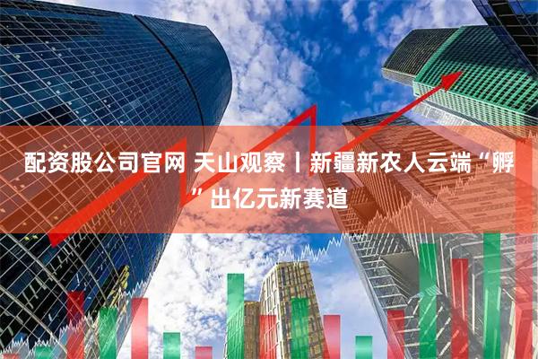 配资股公司官网 天山观察丨新疆新农人云端“孵”出亿元新赛道