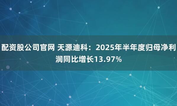 配资股公司官网 天源迪科：2025年半年度归母净利润同比增长13.97%